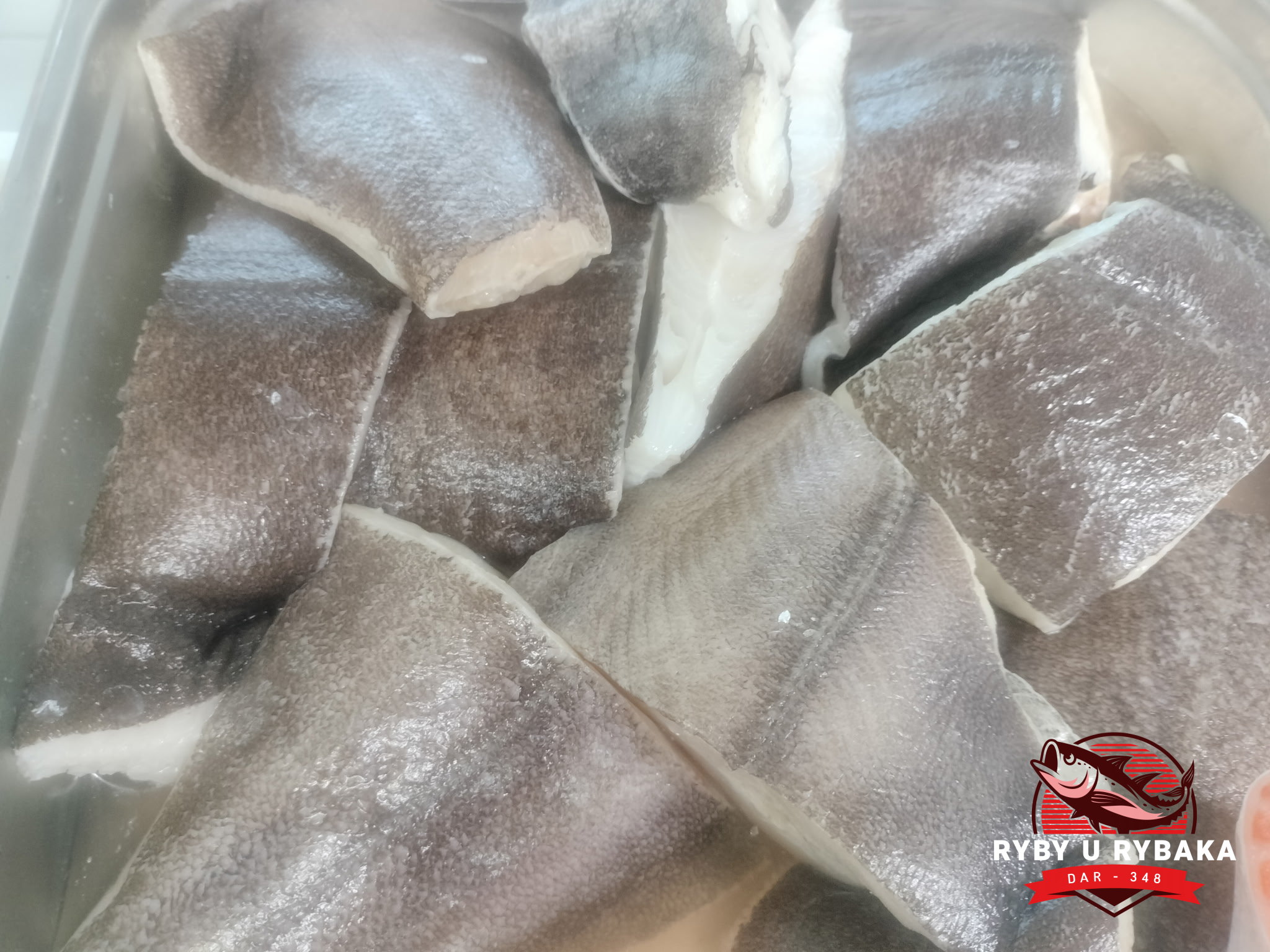 Halibut dzwonek